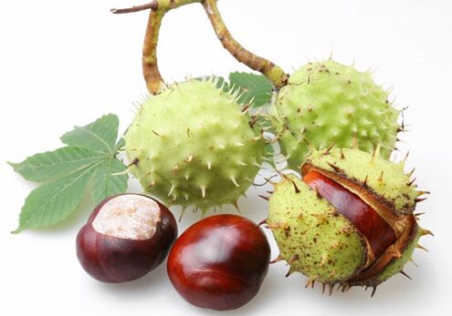 Plodovi kostanja so bogati s številnimi dragocenimi vitamini in mikroelementi, ki blagodejno vplivajo na prostato.